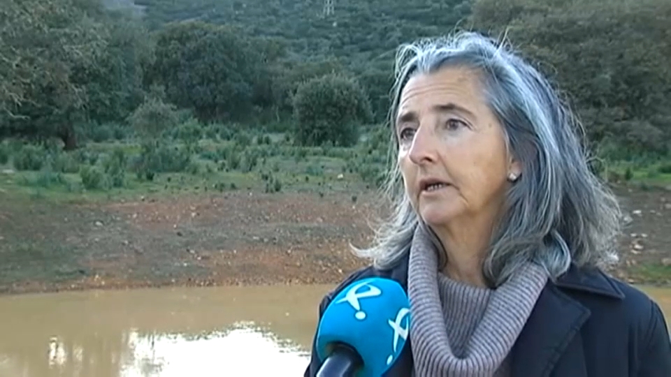 Ganadera. María Pita