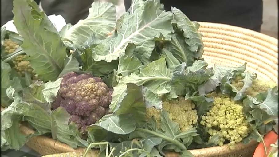 Inversiones en industrias agroalimentarias