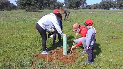 Familia plantando un alcornoque en el Parque Natural de Cornalvo (Badajoz)