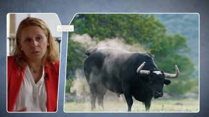 Abanderada San Juan Coria Toros Ganaderías Encierros Sanjuanes Patricia Alfonso Tierra de Toros Canal Extremadura