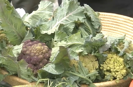 Inversiones en industrias agroalimentarias