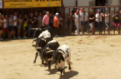 Sanjuanes de Coria 2023