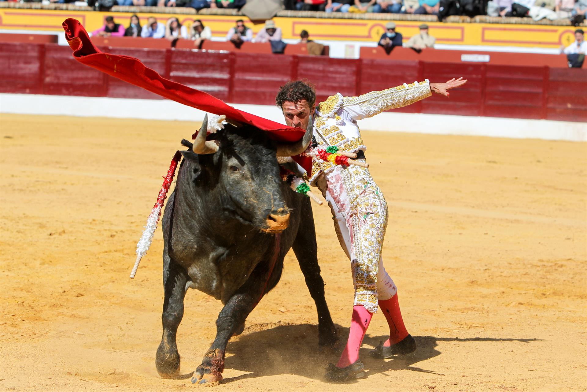 Antonio Ferrera, ante uno de los seis victorinos a los que se han enfrentado hoy