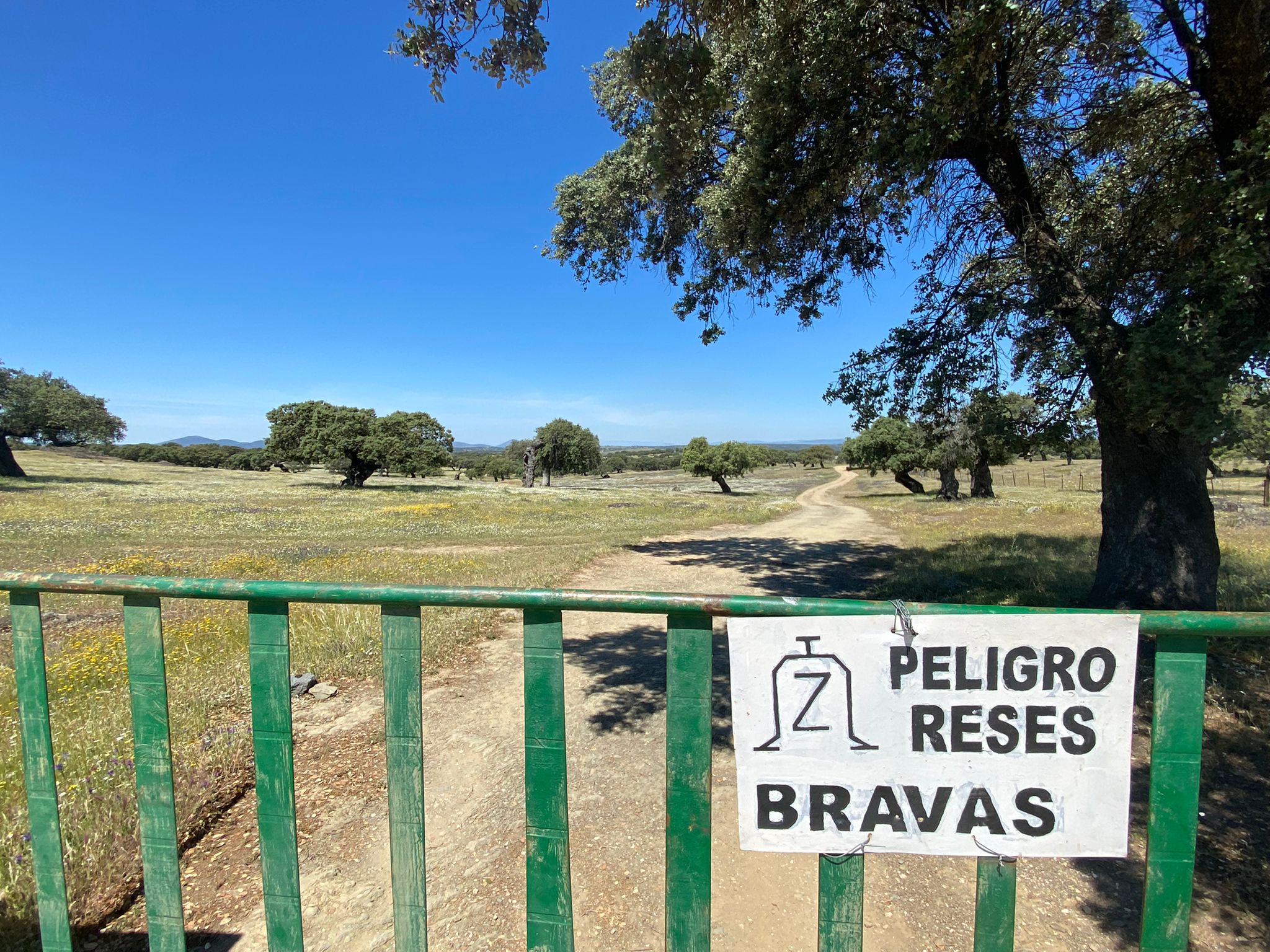 Entrada a la finca donde se produjo el accidente