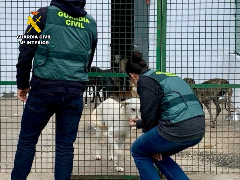 Tres detenidos por la sustracción de perros de caza en la provincia de Cáceres