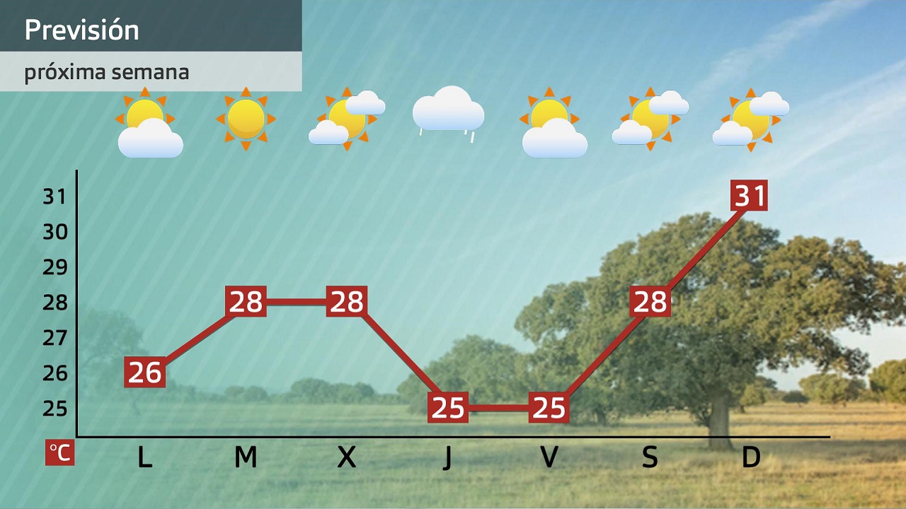 Previsión semanal