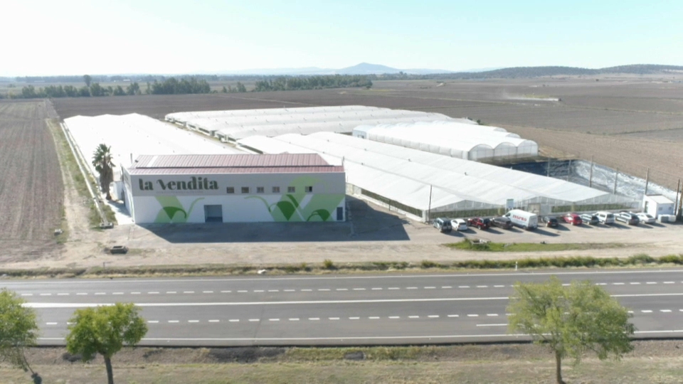 La Vendita