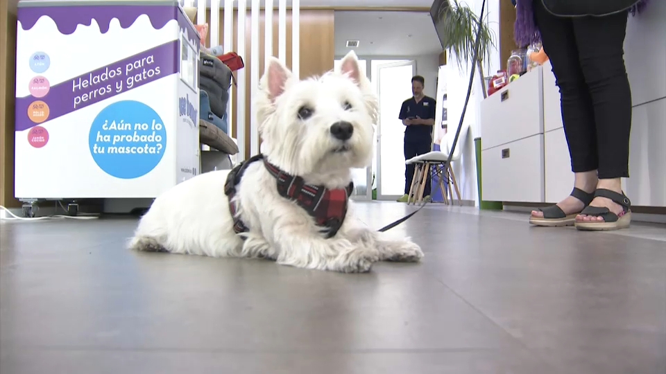 Clínica veterinaria