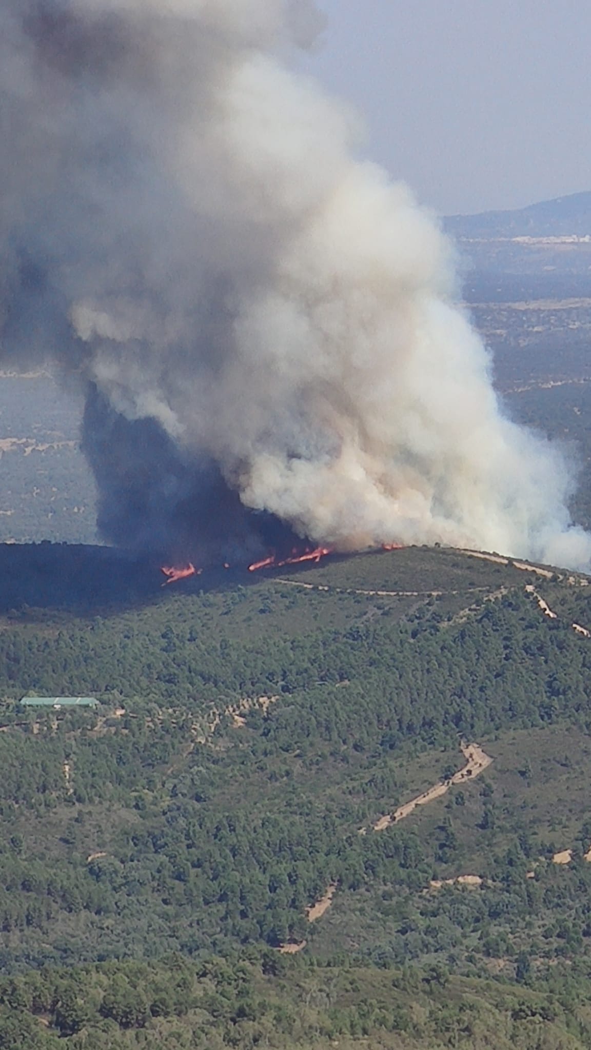 incendio santa cruz de paniagua