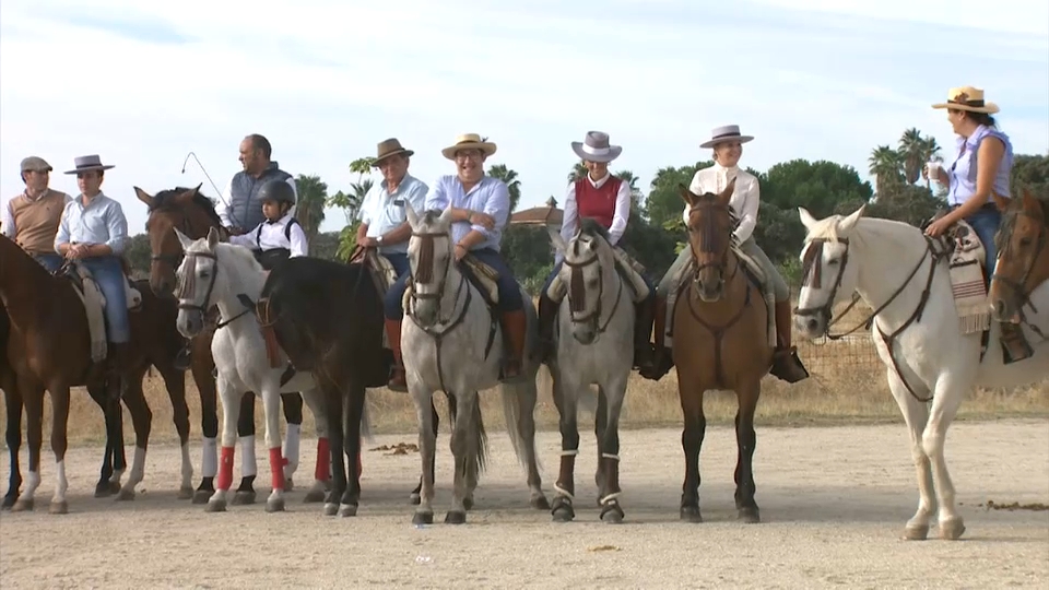 Día del caballo