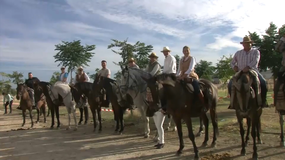 Día del caballo