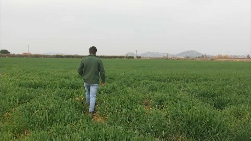La primavera anticipada preocupa a los agricultores extremeños
