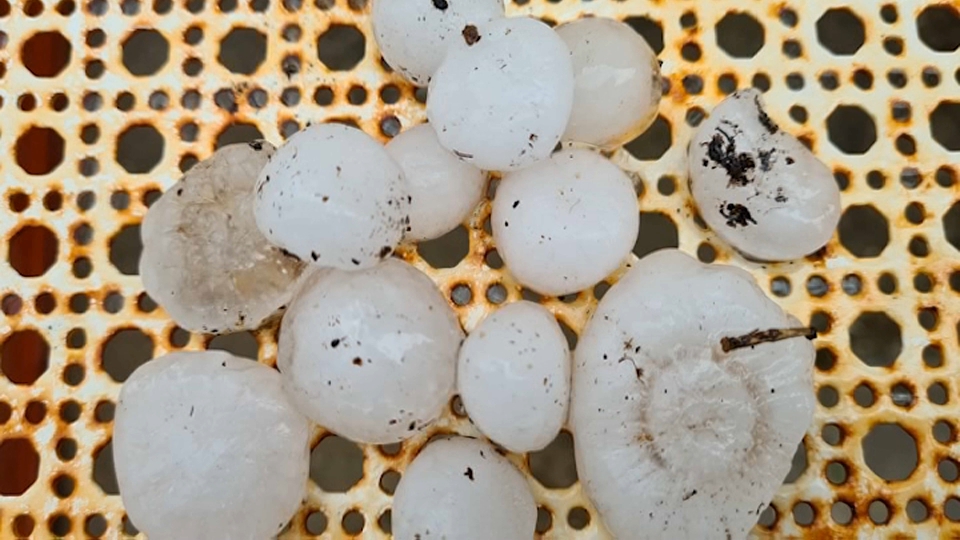 Granizos en Maguilla