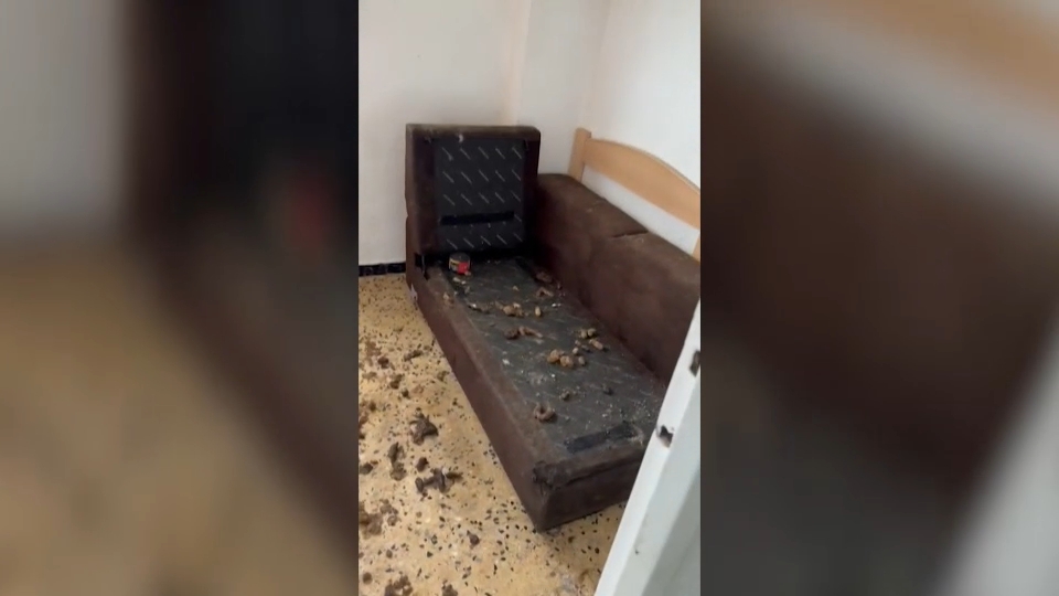 habitación llena de heces