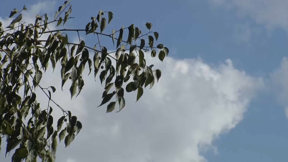 Aviso amarillo por tormentas en La Serena, Tierra de Barros y el sur de la región