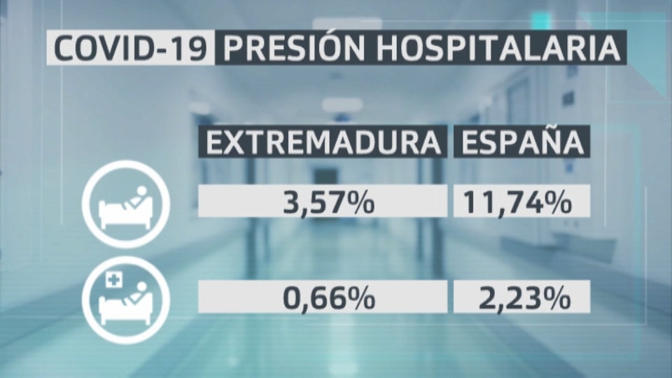 Tasa ocupación presión hospitalaria