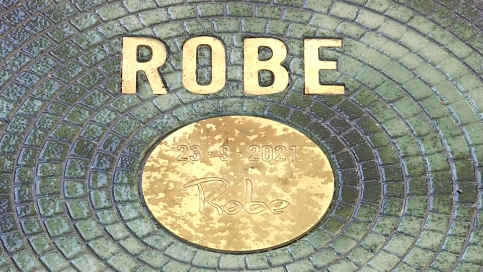 Placa Robe