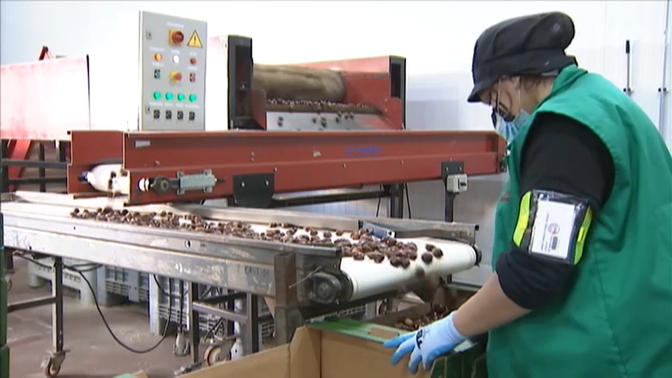 ¿Dónde habrá más trabajo? Nichos de empleo en Extremadura 