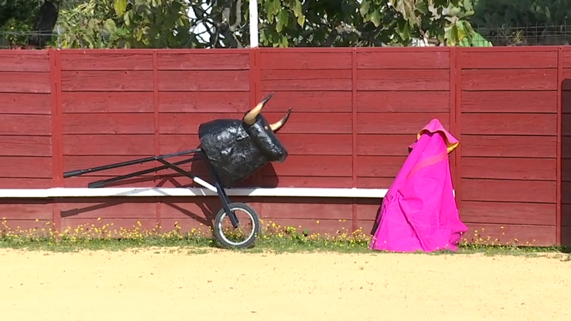 Prohibición de los toros en Portugal a menores de 16 años