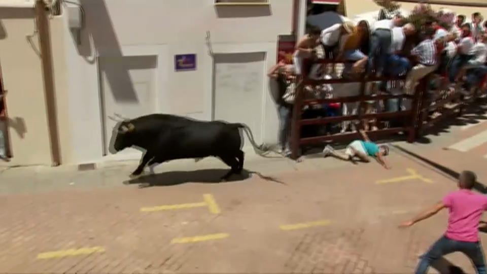 Cogida sanjuanes