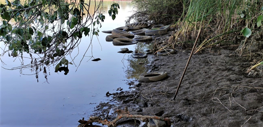 Parte de los neumáticos arrojados al río Guadiana a su paso por Mérida