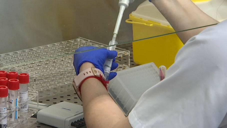 Preparando muestras de PCR para secuenciar