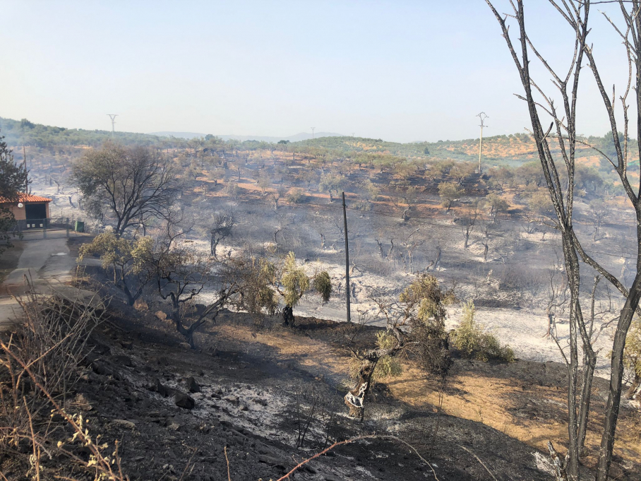 Imágenes del incendio de Guadalperal