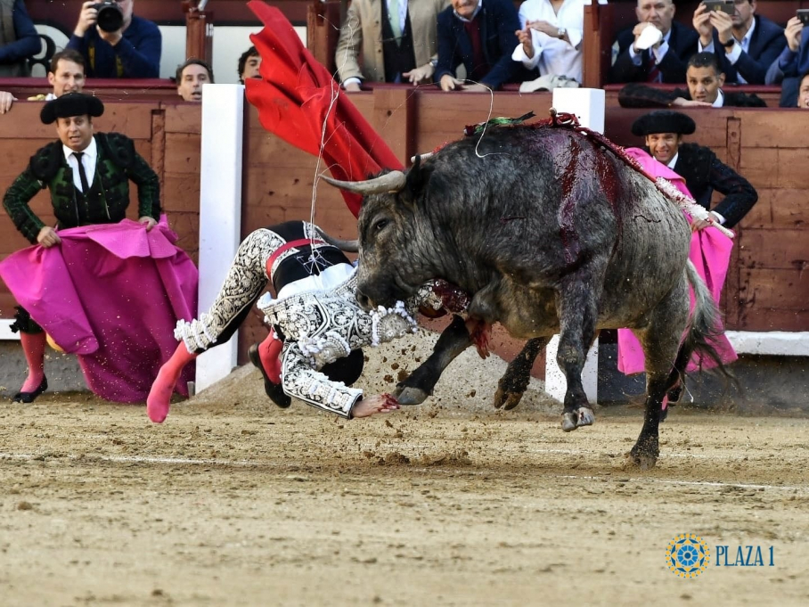 Cogida Emilio de Justo en Las Ventas