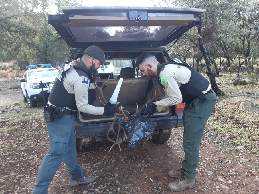 Agentes del medio natural