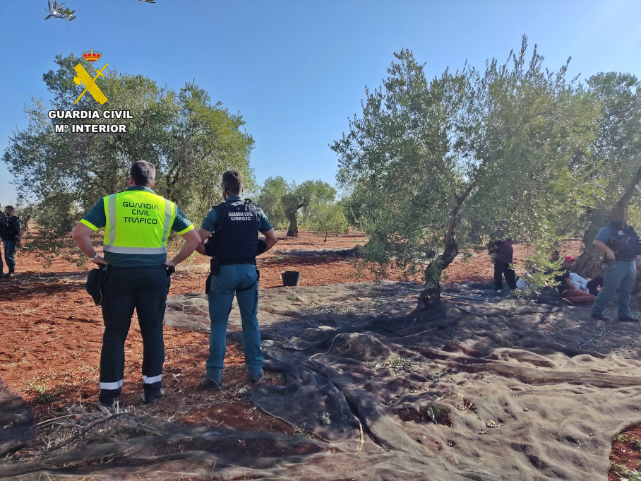 Inspección en una finca de Fuente del Maestre