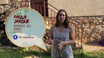 Dieta natural para tu perro