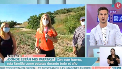 Robo en huertos