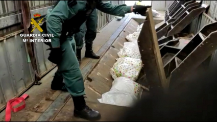 Operación antidroga Arbitror