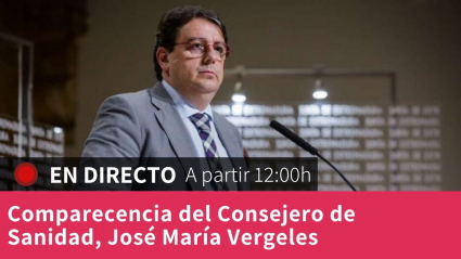 Comparecencia de José María Vergeles