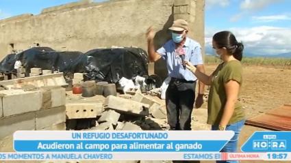 Calzadilla