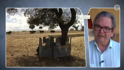 Entrevista a Emilio Sánchez Barrado, pdte del Club Taurino Placentino