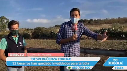 Becerros a los que hicieron la luna