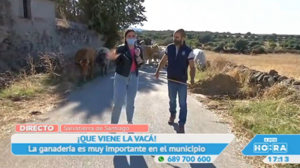 Ganadería en Extremadura