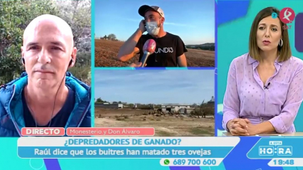 ¿Atacan los buitres al ganado?