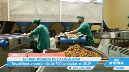 El higo de Almoharín