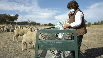 Mujer rural