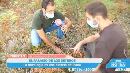 Cogiendo setas