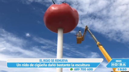 Tomate de Miajadas