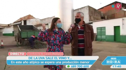El aceite de Cordobilla de Lácara