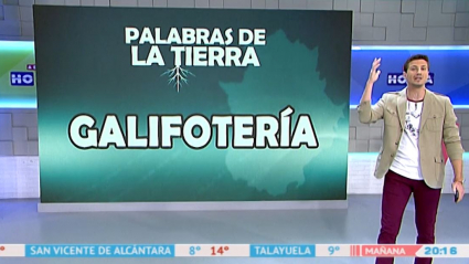 Palabras de la tierra 