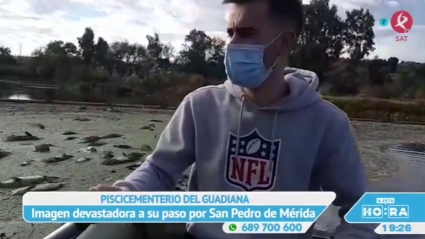 Peces muertos en el Guadiana