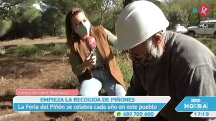 Cogiendo piñas