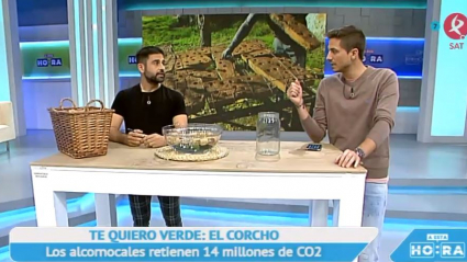 El corcho y sus muchos usos