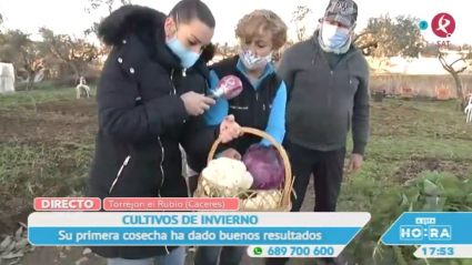 La huerta de Torrejón el Rubio