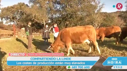 Finca comunal en Valle de Matamoros